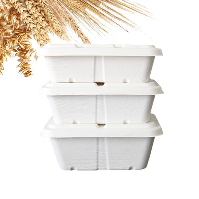recipientes de alimento para viagem da polpa da cana-de-açúcar do fast food 500ml