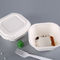 Recipientes de alimento à prova de graxa biodegradáveis da polpa do bagaço