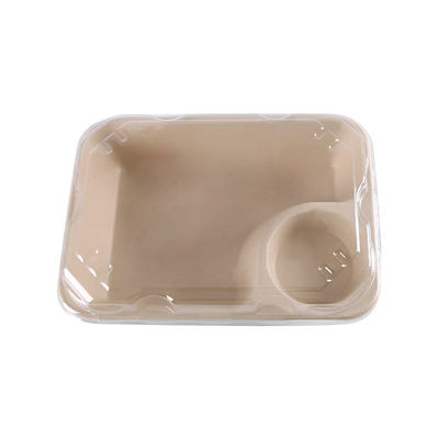 O recipiente de alimento biodegradável do bagaço com o copo do molho para leva embora