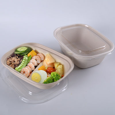 Caixa Compostable da salada do bagaço da cana-de-açúcar