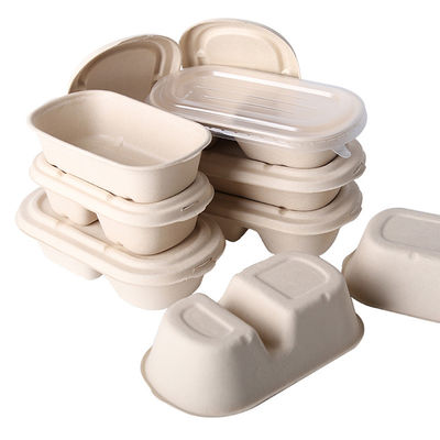 Para viagem com os 2 recipientes de alimento Compostable do GV dos compartimentos