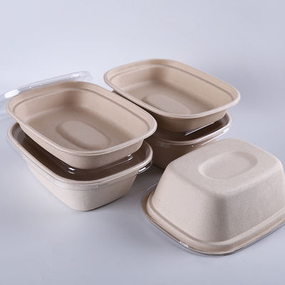 Caixa Compostable da salada do bagaço da cana-de-açúcar