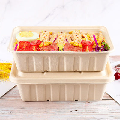 Biodegradáveis Microwavable Leakproof removem caixas