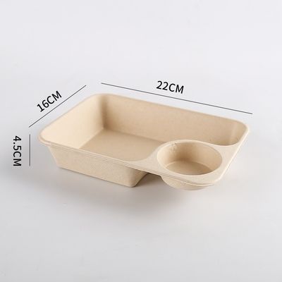 O recipiente de alimento biodegradável do bagaço com o copo do molho para leva embora